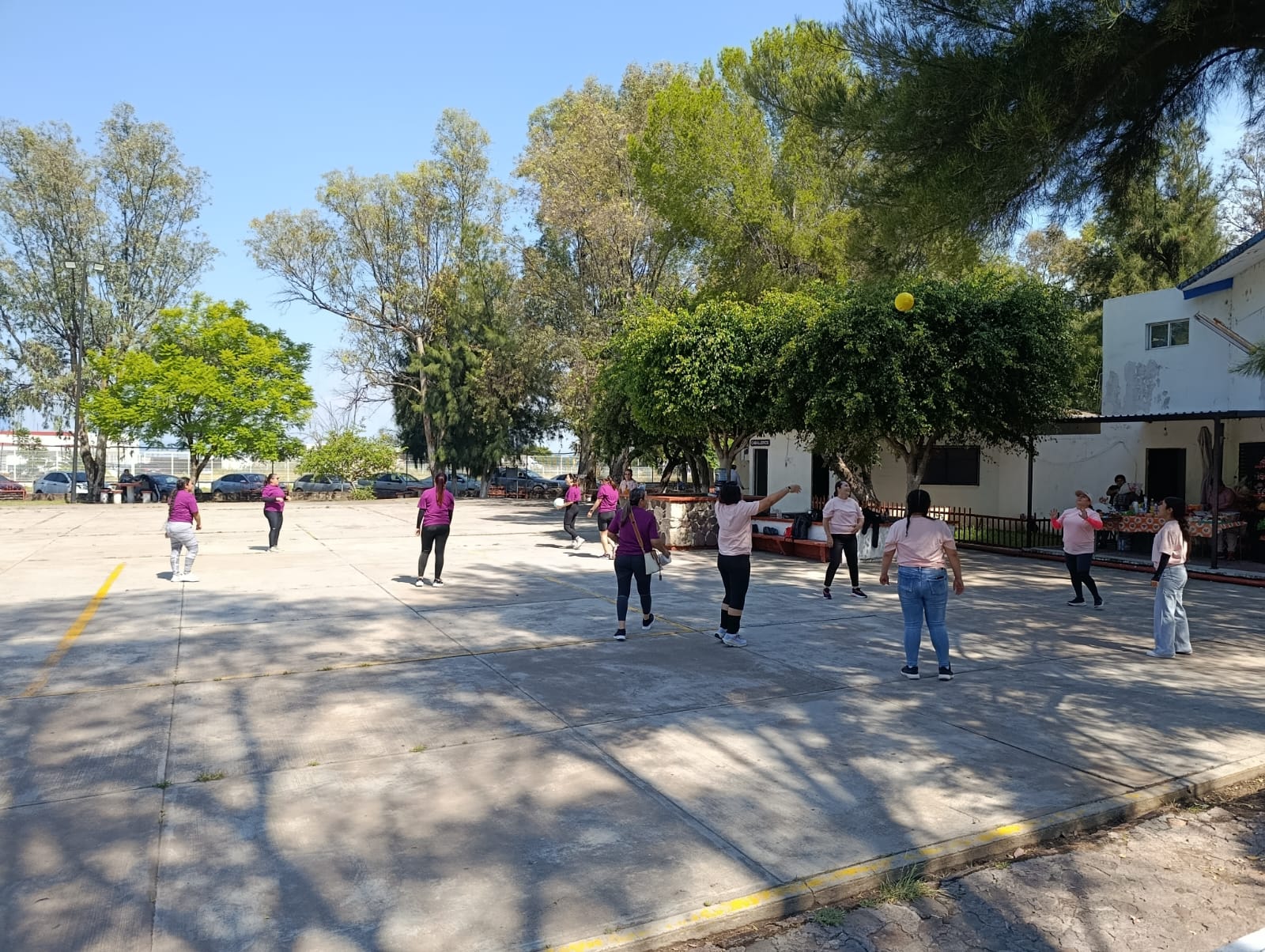 ¡En 𝐖𝐚𝐥𝐭 𝐌é𝐱𝐢𝐜𝐨 vivimos el deporte con toda la actitud!⚽🏐