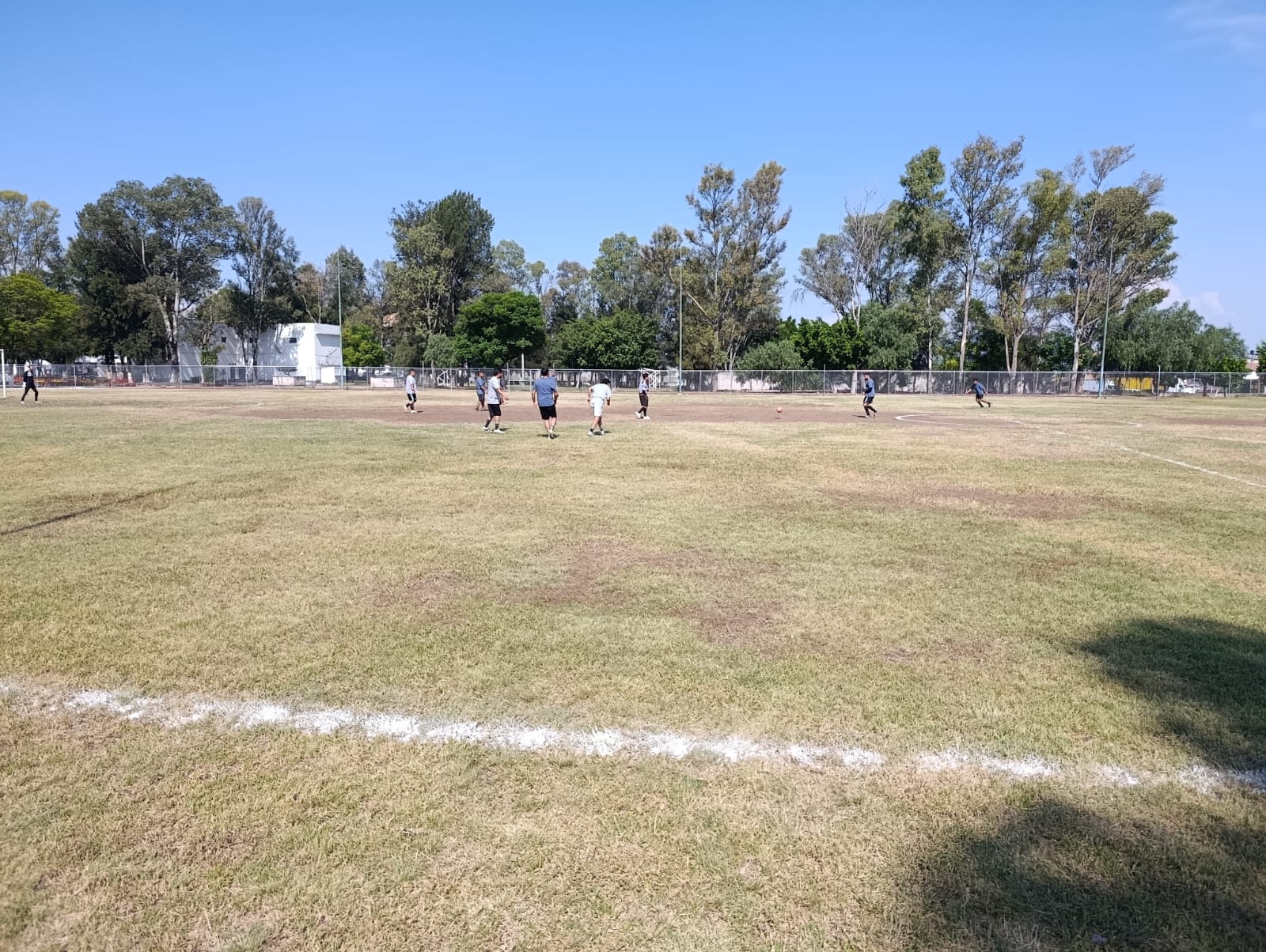 ¡En 𝐖𝐚𝐥𝐭 𝐌é𝐱𝐢𝐜𝐨 vivimos el deporte con toda la actitud!⚽🏐